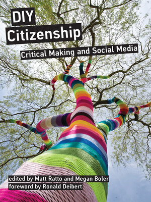 cover image of DIY Citizenship